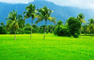 10 Days Cochin to Munnar Vacation Package