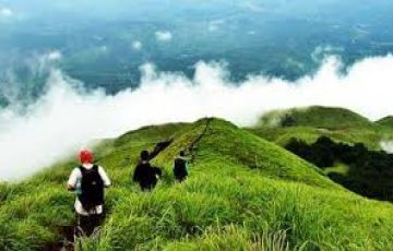 5 Days 4 Nights Munnar Tour Package