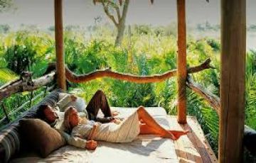 8 Days 7 Nights Munnar Tour Package