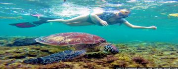 Best 4 Days Port Blair Tour Package by LOGIX DESTINATIONS