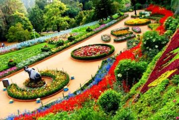 Heart-warming Ooty Tour Package for 4 Days from Bangalore
