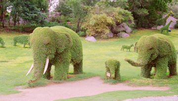 Family Getaway 5 Days 4 Nights Hyderabad Vacation Package