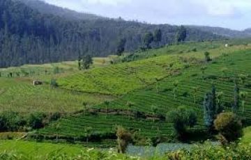 2 Days 1 Night Ooty Vacation Package