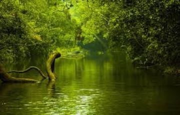 Magical 2 Days 1 Night Coorg with Mysore Vacation Package