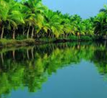 Memorable 6 Days 5 Nights Alleppey Vacation Package