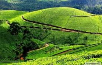 Munnar Tour Package for 4 Days from Bangalore