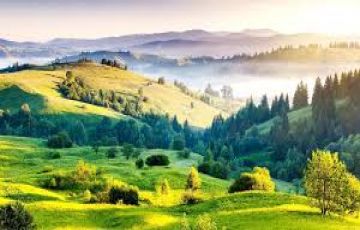 Memorable 2 Days 1 Night Coorg with Mysore Vacation Package