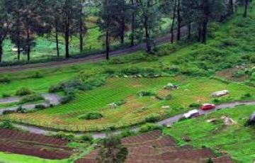 Amazing Mysore Tour Package for 2 Days 1 Night from Coorg