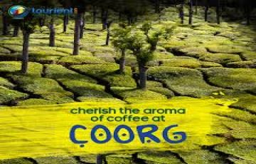 Amazing 2 Days 1 Night Coorg and Mysore Tour Package