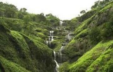 Heart-warming 2 Days Coorg with Mysore Vacation Package