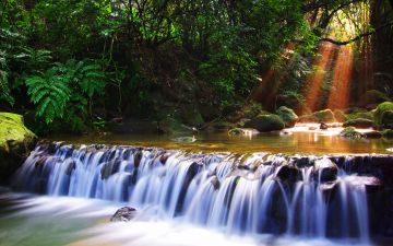 Family Getaway 5 Days 4 Nights Munnar, Thekaddy, Alleppey with Back To Home Tour Package