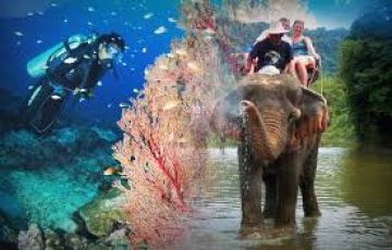 Memorable 4 Days Port Blair Holiday Package