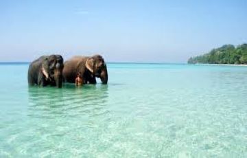 Heart-warming Port Blair Tour Package for 2 Days