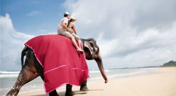 Family Getaway 4 Days Colombo, Sri Lanka to Sri Lanka Trip Package