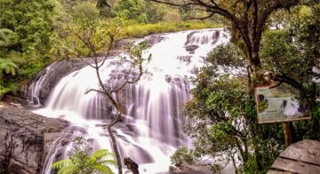Ecstatic Nuwara-eliya Tour Package from Colombo, Sri Lanka