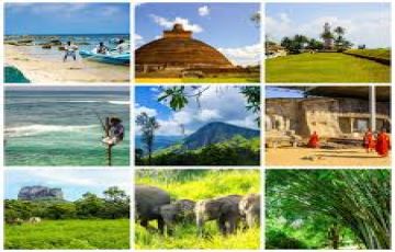 Pleasurable Sri Lanka Tour Package for 4 Days 3 Nights from Colombo, Sri Lanka