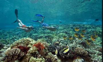 Amazing 5 Days Bangkok to Pattaya Holiday Package