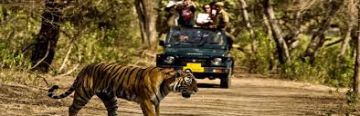02 Night Jim Corbett Safari Tour Package by Cab Ex. Delhi