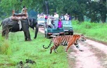 02 Night Jim Corbett Safari Tour Package by Cab Ex. Delhi