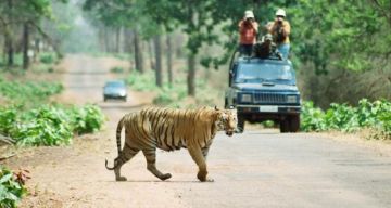 4 Days Nagpur to Tadoba Vacation Package