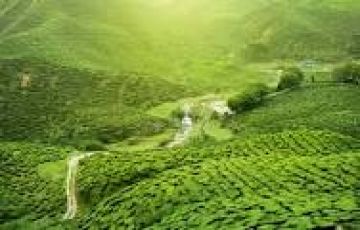 Memorable 7 Days 6 Nights Guwahti Trip Package