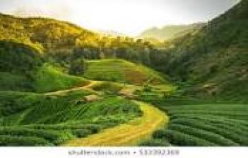 Memorable 7 Days 6 Nights Guwahti Trip Package