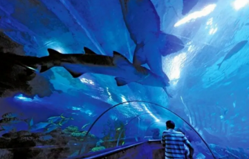 Family Getaway Malaysia Tour Package for 6 Days 5 Nights from Kota Kinabalu