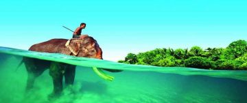 Tour Package for 4 Days from Port Blair