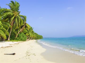 5 Days 4 Nights Port Blair with Havelock Island Holiday Package