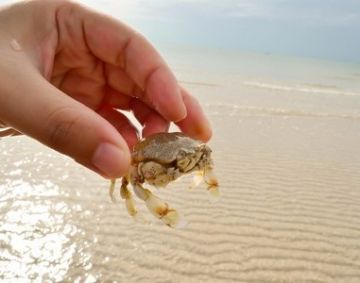 Amazing 3 Days 2 Nights Goa Holiday Package by EASY WAY HOLIDAYS