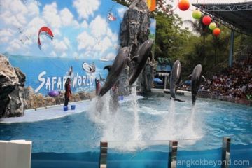 5 Days 4 Nights Arrival Pattaya Tour Package