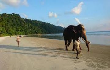 Experience Port Blair Tour Package for 7 Days