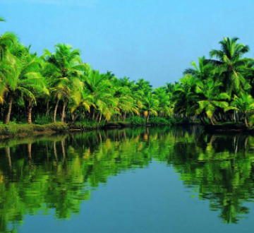 Memorable 3 Days 2 Nights Kochi with Periyar Holiday Package