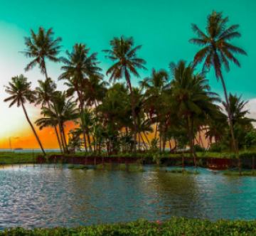 Memorable 3 Days 2 Nights Kochi with Periyar Holiday Package