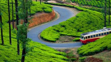 Best 4 Days 3 Nights Munnar, Alleppey and Back To Home Trip Package