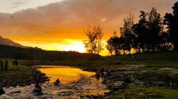 Pleasurable 4 Days 3 Nights Munnar, Thekkady and Back To Home Trip Package