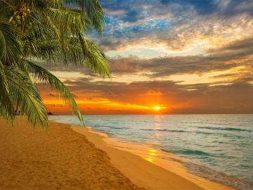 Family Getaway 7 Days Kochi, Kovalam, Munnar, Alleppey