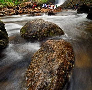 Family Getaway 7 Days Kochi, Kovalam, Munnar, Alleppey