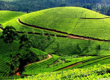 Ecstatic 4 Days 3 Nights Mysore, Coorg and Bangalore Trip Package
