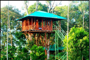 Magical  Kerala Tour Package 5 Nights  6 Days