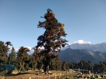 Srinagar Tour Package for 3 Days from Haridwar