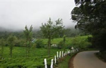 Beautiful 3 Days Bangalore to Bangalorecoimbatore Tour Package