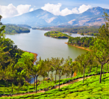 Pleasurable Cochin Tour Package for 4 Days 3 Nights from Thekkady