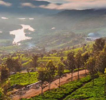 Pleasurable 3 Days Cochin to Kovalam Tour Package