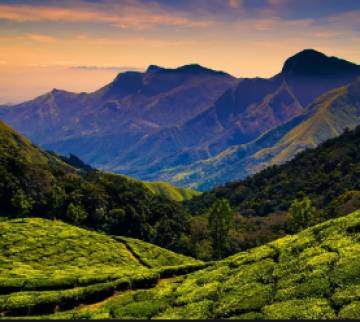 Memorable Periyar Tour Package from Cochin