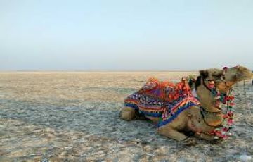 Best 4 Days 3 Nights Bhuj and Kutch Vacation Package