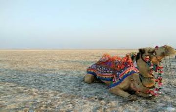 Rann of kutch 2N/3D