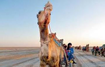 Rann of kutch 2N/3D