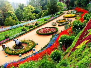 Ooty Cheap & Best Honeymoon Tour Package for 4 Days 3 Nights