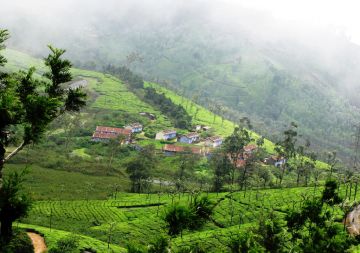 Ooty Cheap & Best Honeymoon Tour Package for 4 Days 3 Nights